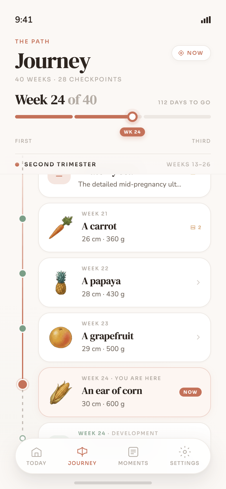 The Journey tab — all forty weeks as one continuous path with checkpoints