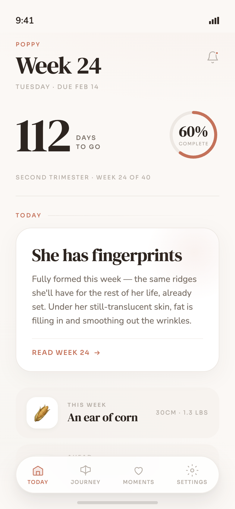 The Cordia app showing week 24 — a countdown, a progress ring and today's development note
