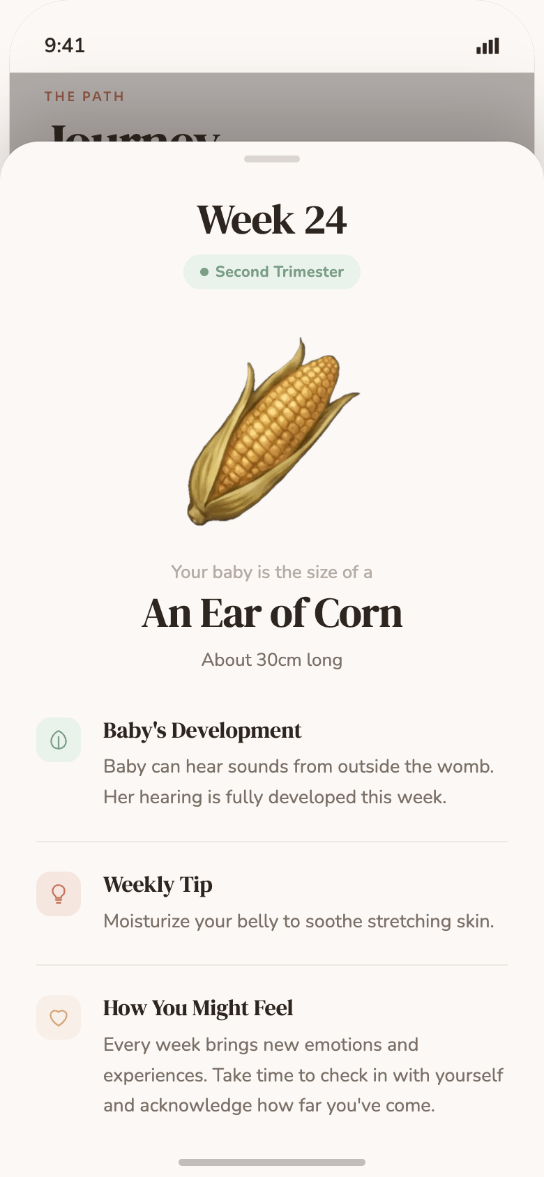 Cordia app screen