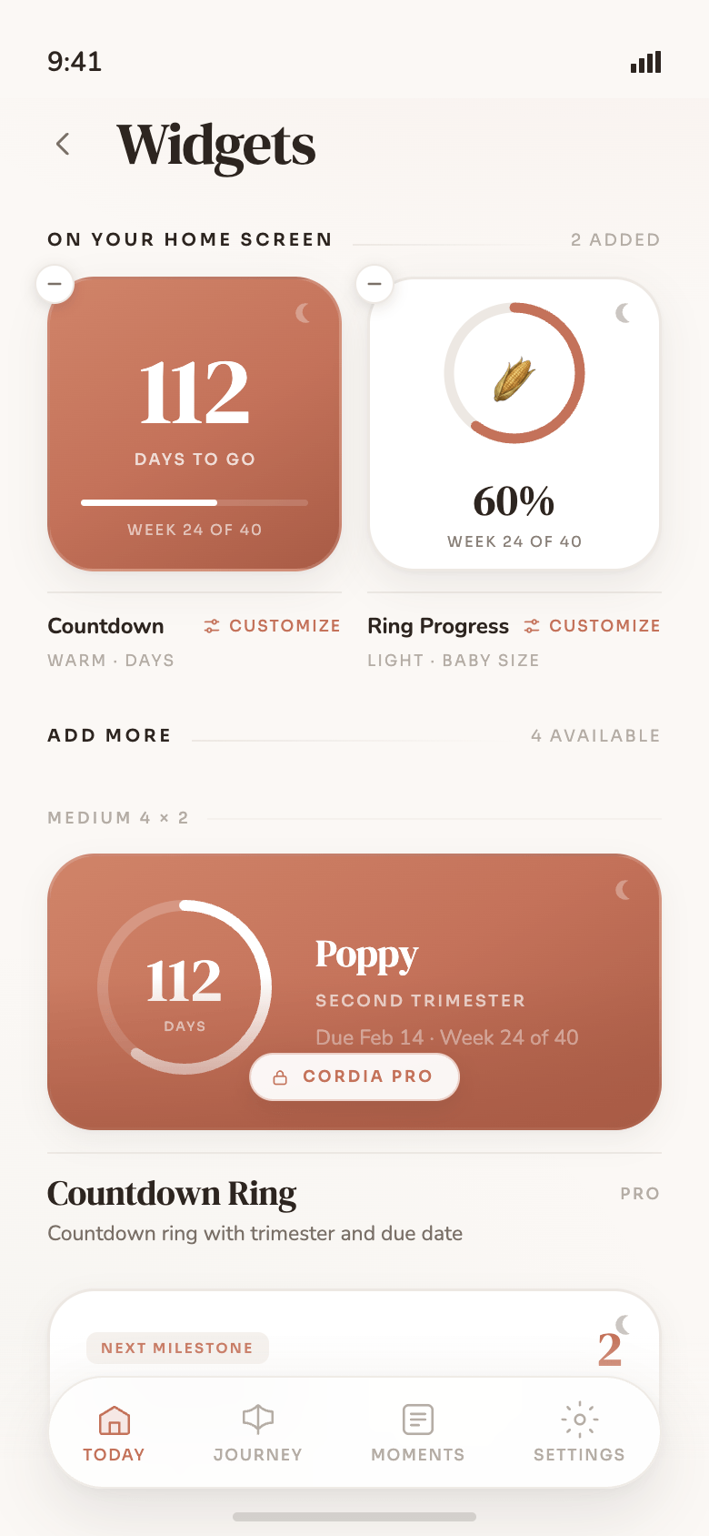 Home Screen widgets showing the countdown without opening the app