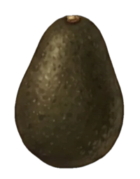 Avocado